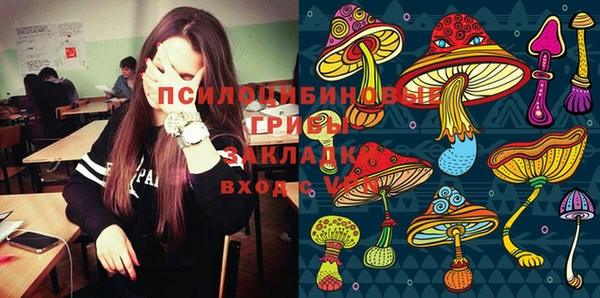ПСИЛОЦИБИНОВЫЕ ГРИБЫ Остров