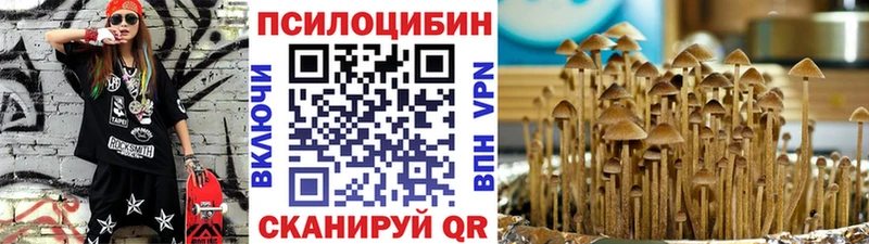 blacksprut зеркало  Курчалой  Галлюциногенные грибы Cubensis 